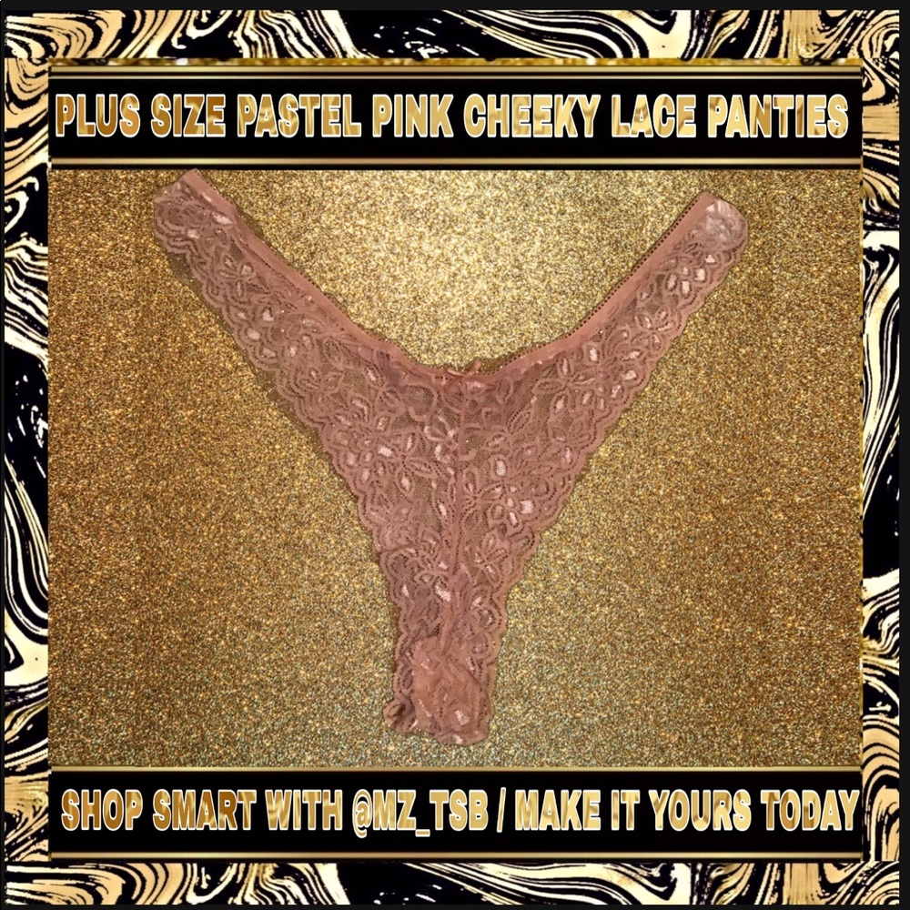🆕 NWOT PASTEL PINK CHEEKY LACE PANTIES 💗 Plus